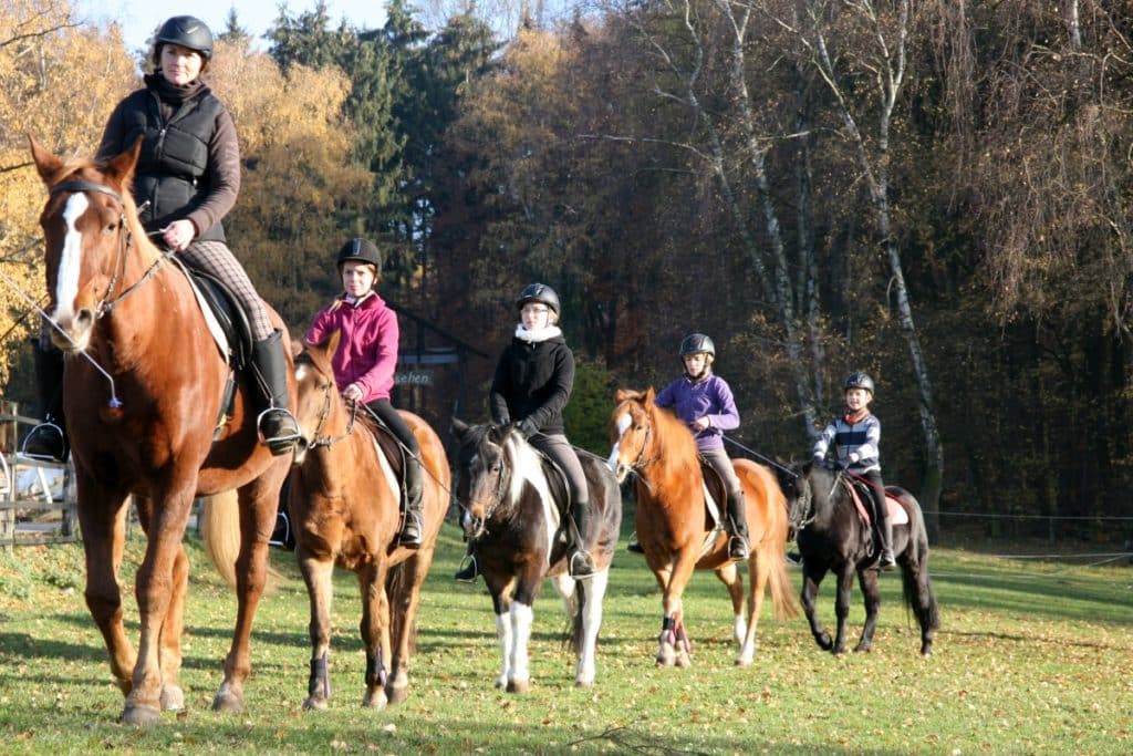 Ferienhof "Silber Ranch" Bad Salzulfen