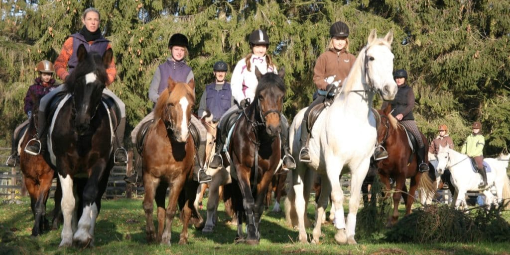 Kinderreiten / Reitferien